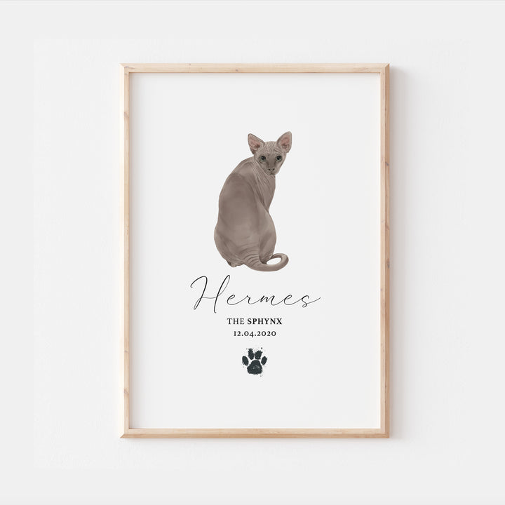 Personalised Blue Sphynx Cat Breed Watercolour Print