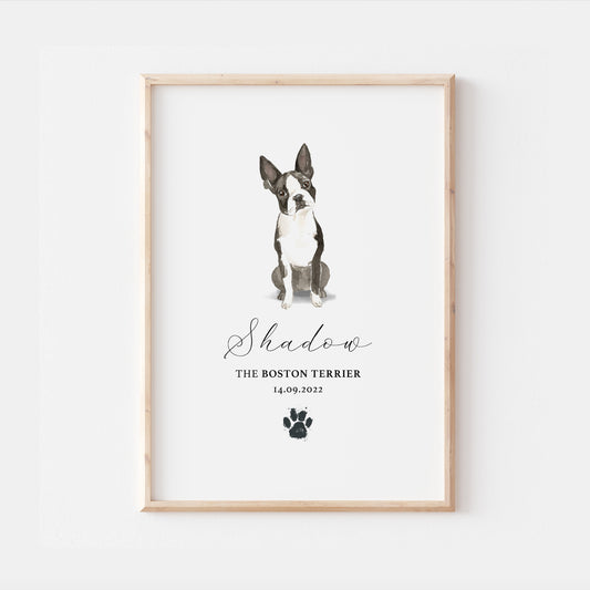 Personalised Boston Terrier Watercolour Dog Home Print