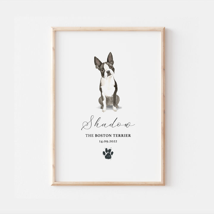 Personalised Boston Terrier Watercolour Dog Home Print