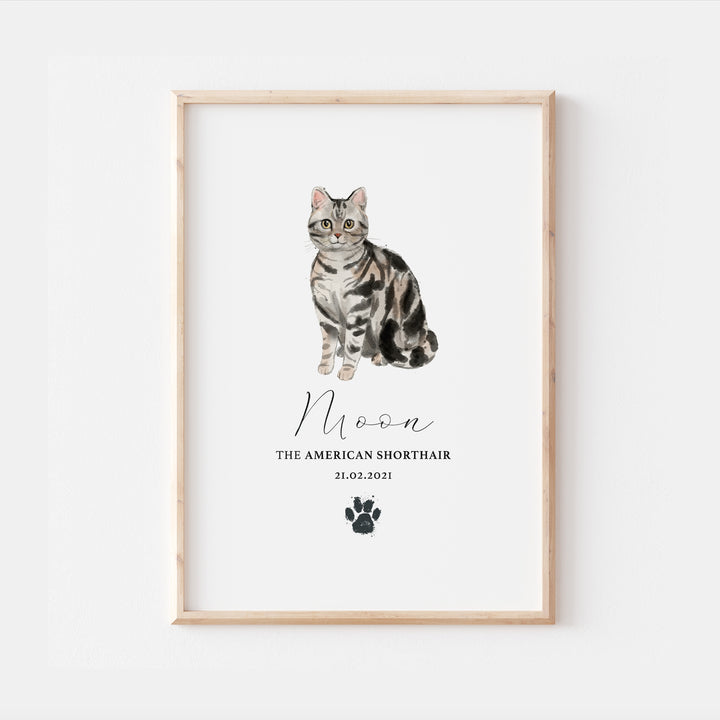 Personalised American Shorthair Cat Breed Watercolour Print