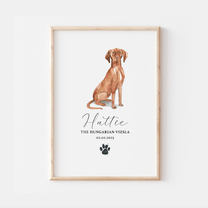 Personalised Hungarian Vizsla Dog Watercolour Print