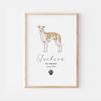 Personalised Whippet Dog Watercolour Print