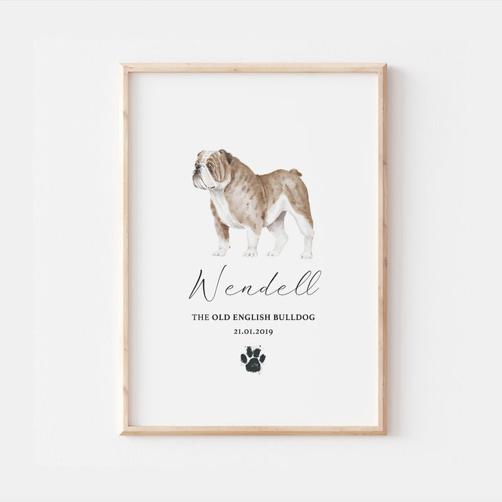 Personalised Old English Bulldog Dog Watercolour Print