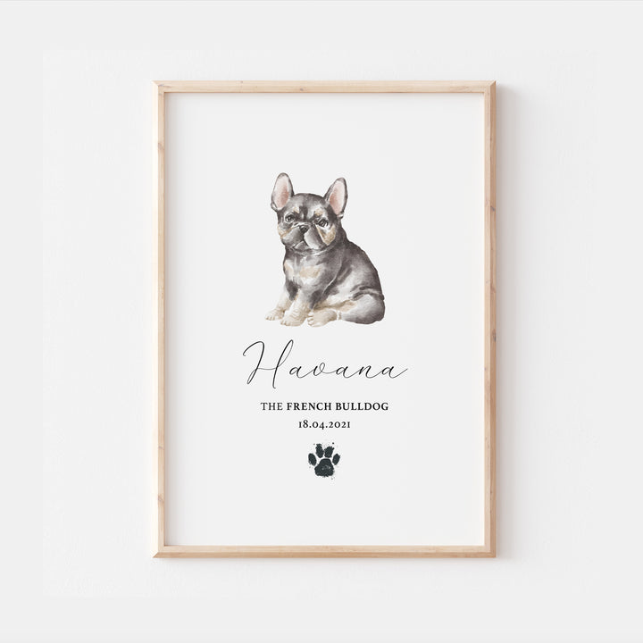 Personalised French Bulldog Watercolour Print