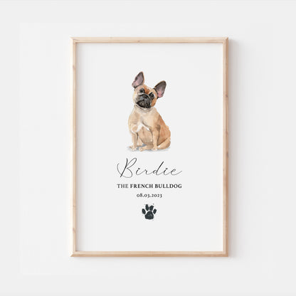 Personalised Tan French Bulldog Watercolour Print
