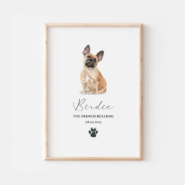 Personalised Tan French Bulldog Watercolour Print