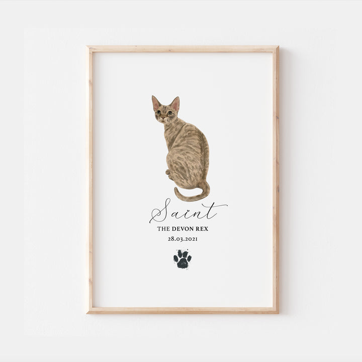 Personalised Brown Devon Rex Cat Breed Watercolour Print