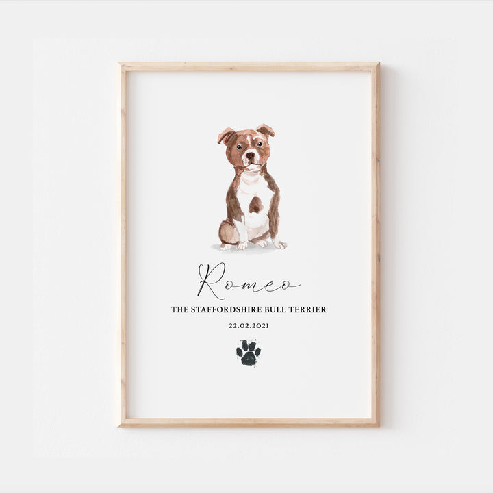 Personalised Staffordshire Bull Terrier Dog Watercolour Print