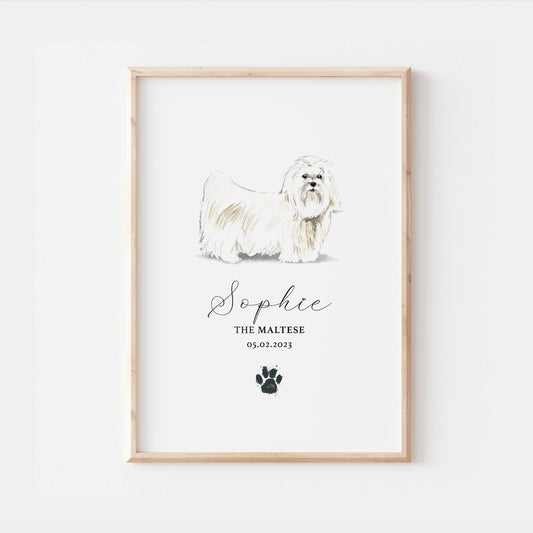 Personalised Maltese Dog Watercolour Print