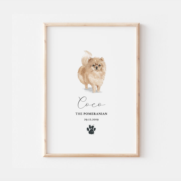 Personalised Pomeranian Dog Watercolour Print