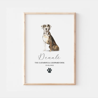 Personalised Catahoula Leopard Dog Watercolour Print