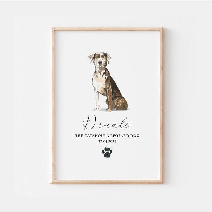 Personalised Catahoula Leopard Dog Watercolour Print