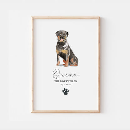 Personalised Rottweiler Dog Watercolour Print