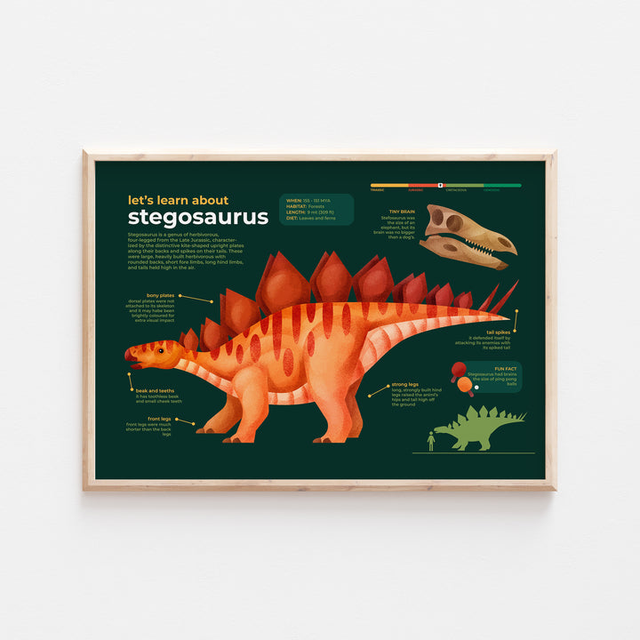 Stegosaurus Dinosaur Educational Facts Print