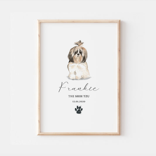 Personalised Shih Tzu Dog Watercolour Print