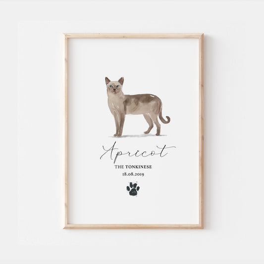 Personalised Tonkinese Cat Breed Watercolour Print