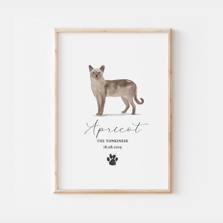 Personalised Tonkinese Cat Breed Watercolour Print