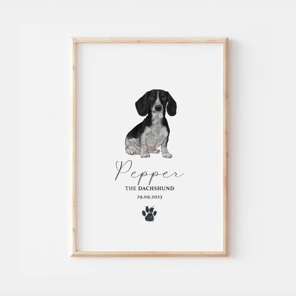 Personalised Black & White Dachshund Dog Watercolour Print