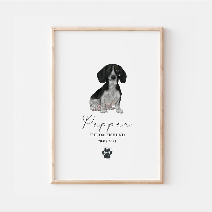 Personalised Black & White Dachshund Dog Watercolour Print