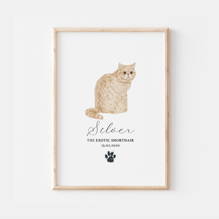 Personalised Cream Exotic Shorthair Cat Breed Watercolour Print