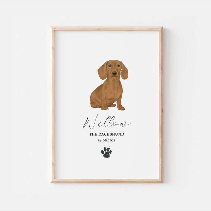 Personalised Tan Dachshund Dog Watercolour Print