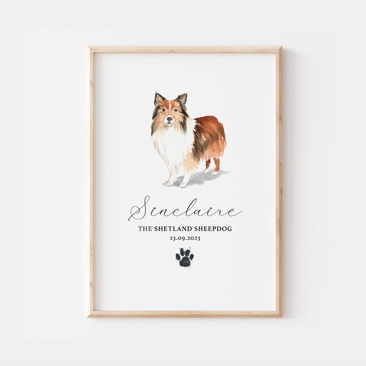 Personalised Shetland Sheepdog Watercolour Print