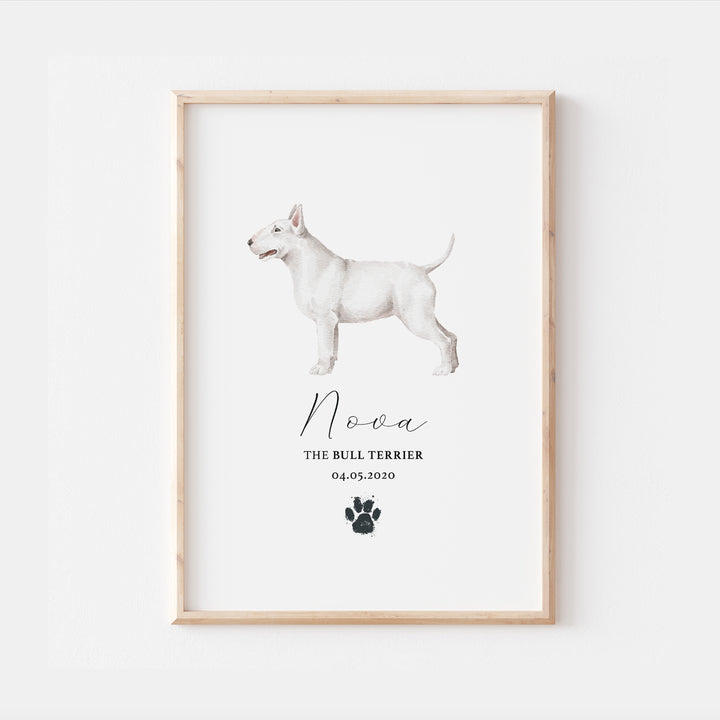 Personalised White Bull Terrier Dog Watercolour Print