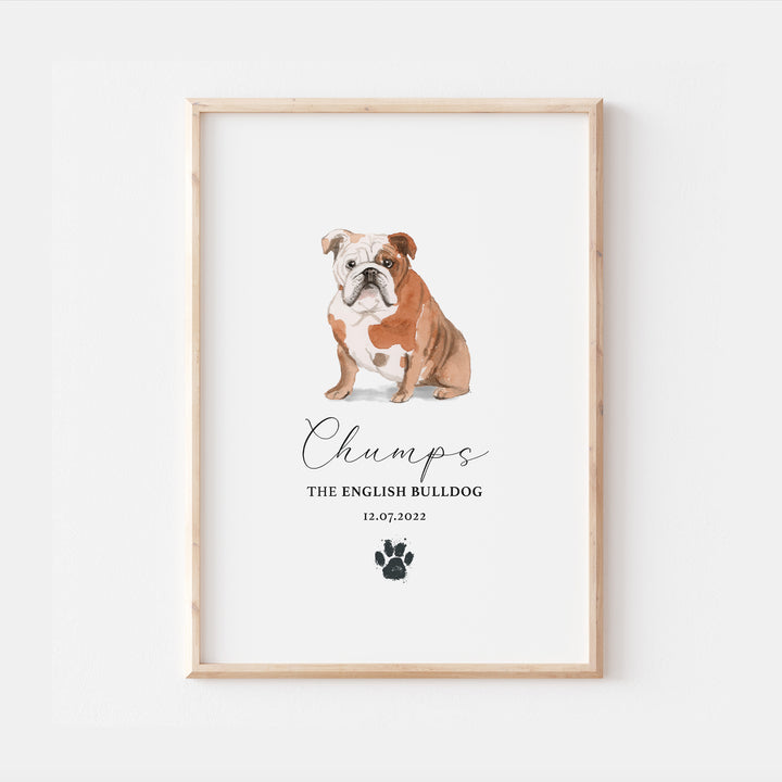 Personalised English Bulldog Watercolour Print