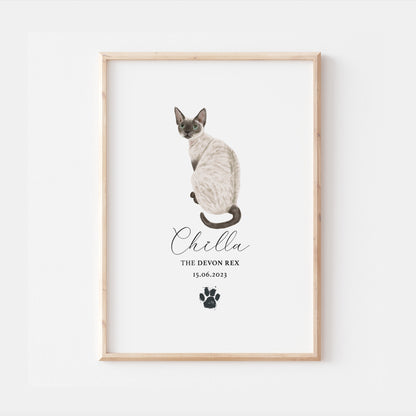 Personalised Pointed Devon Rex Cat Breed Watercolour Print