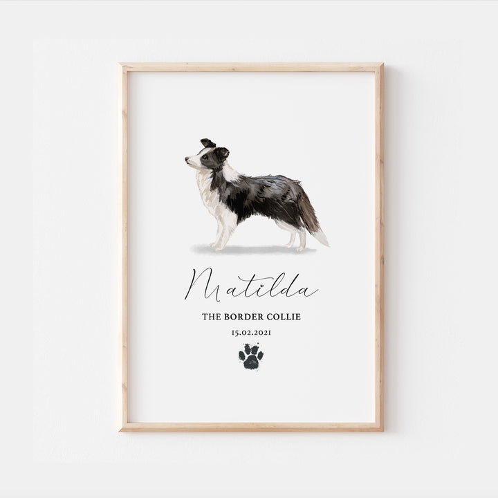 Personalised Border Collie Dog Watercolour Print