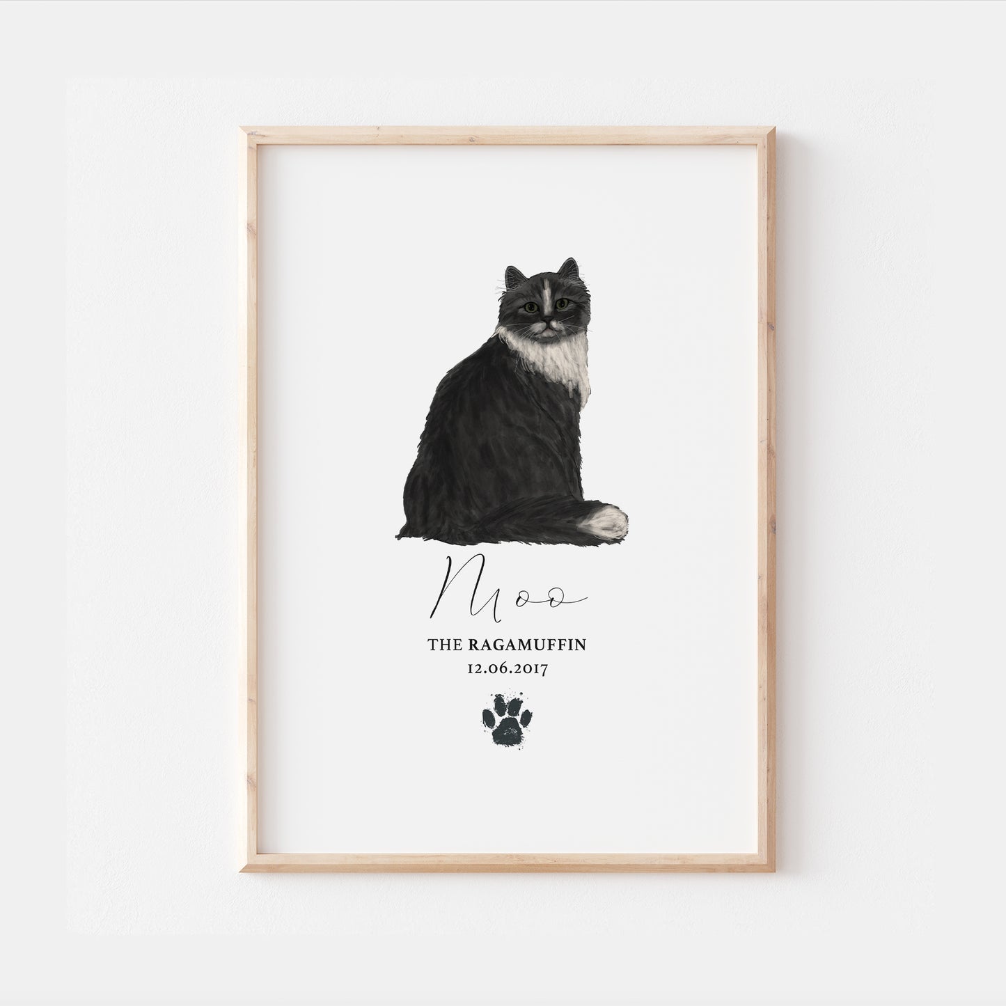Personalised Black White Ragamuffin Cat Breed Watercolour Print