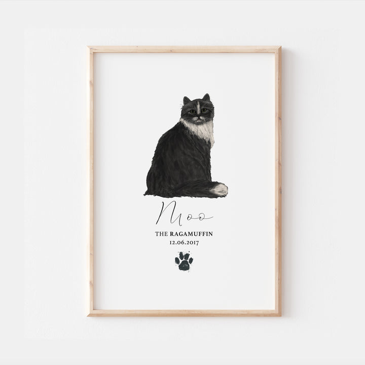 Personalised Black White Ragamuffin Cat Breed Watercolour Print