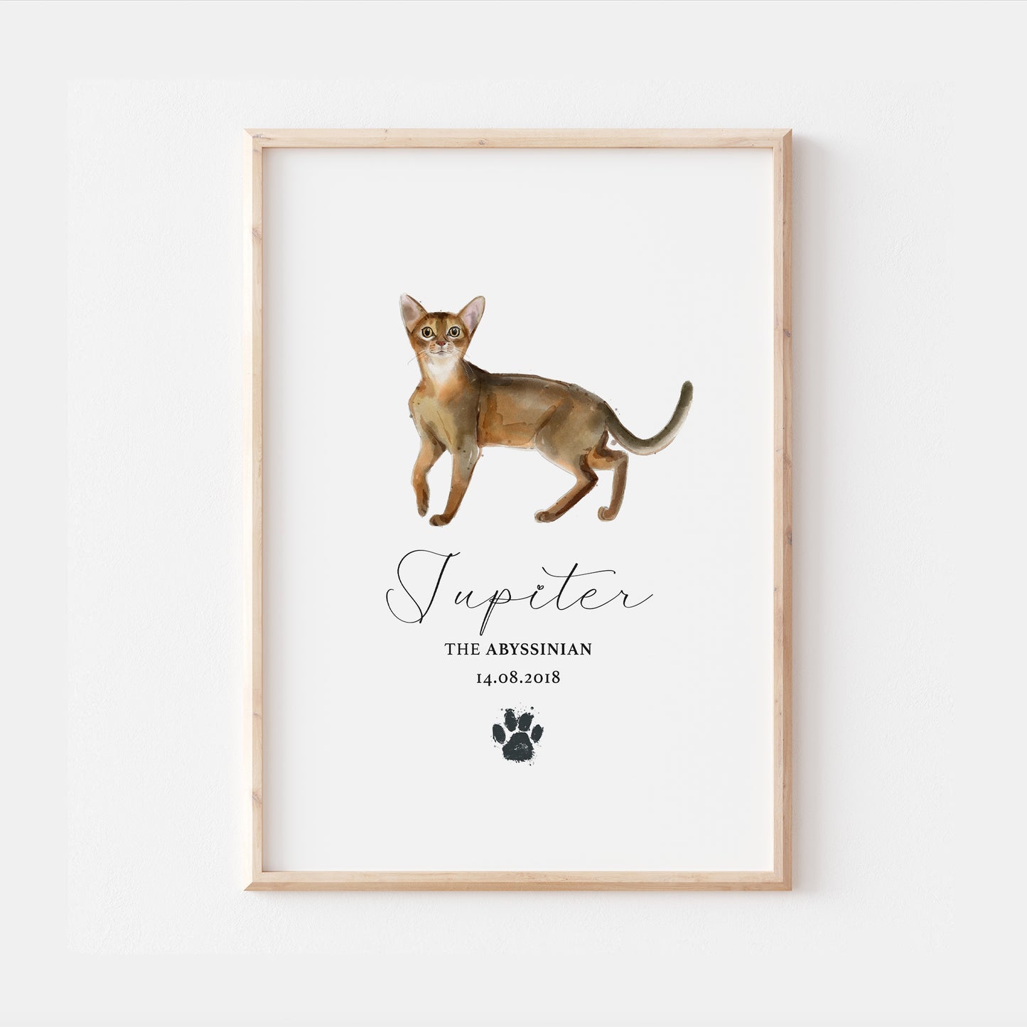 Personalised Abyssinian Cat Breed Watercolour Print