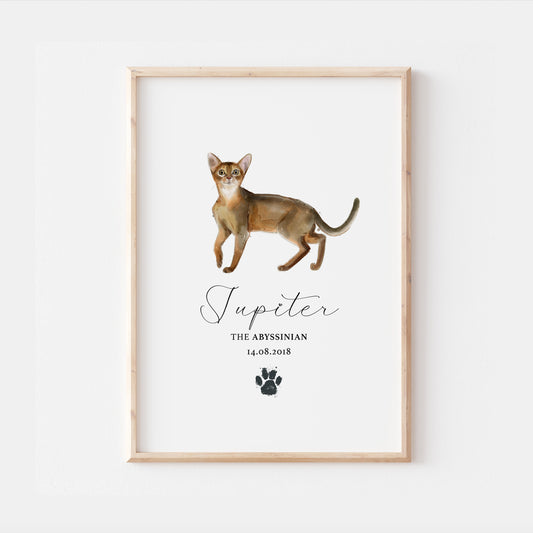 Personalised Abyssinian Cat Breed Watercolour Print