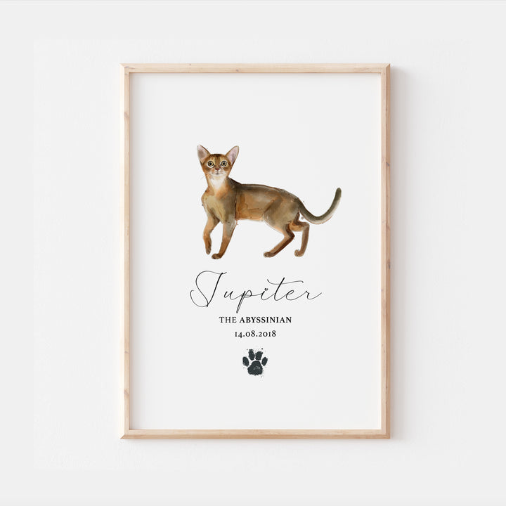 Personalised Abyssinian Cat Breed Watercolour Print