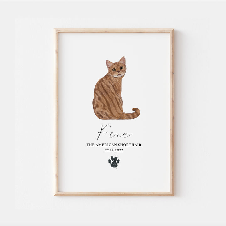 Personalised Red American Shorthair Cat Breed Watercolour Print