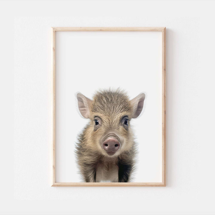 Baby Boar