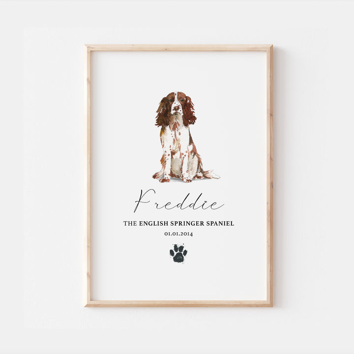 Personalised English Springer Spaniel Dog Watercolour Print