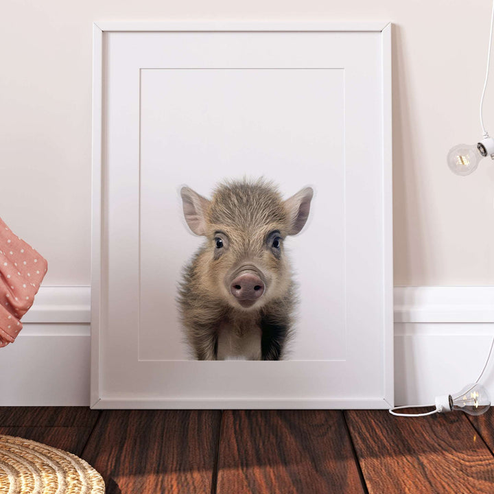 Baby Boar