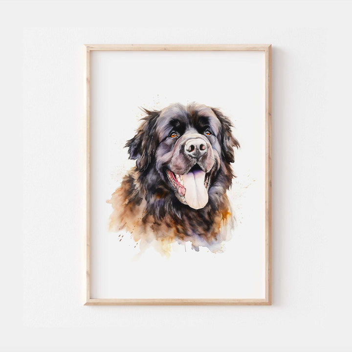 Newfoundland Dog Watercolour Art Print