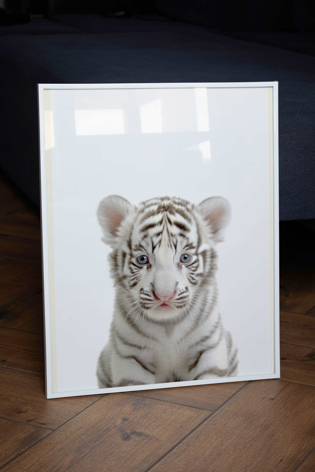 Baby White Tiger