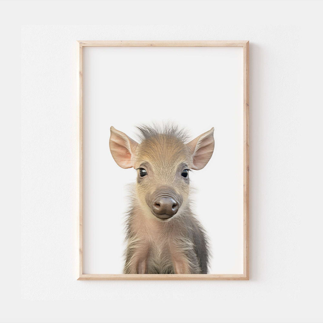 Baby Warthog