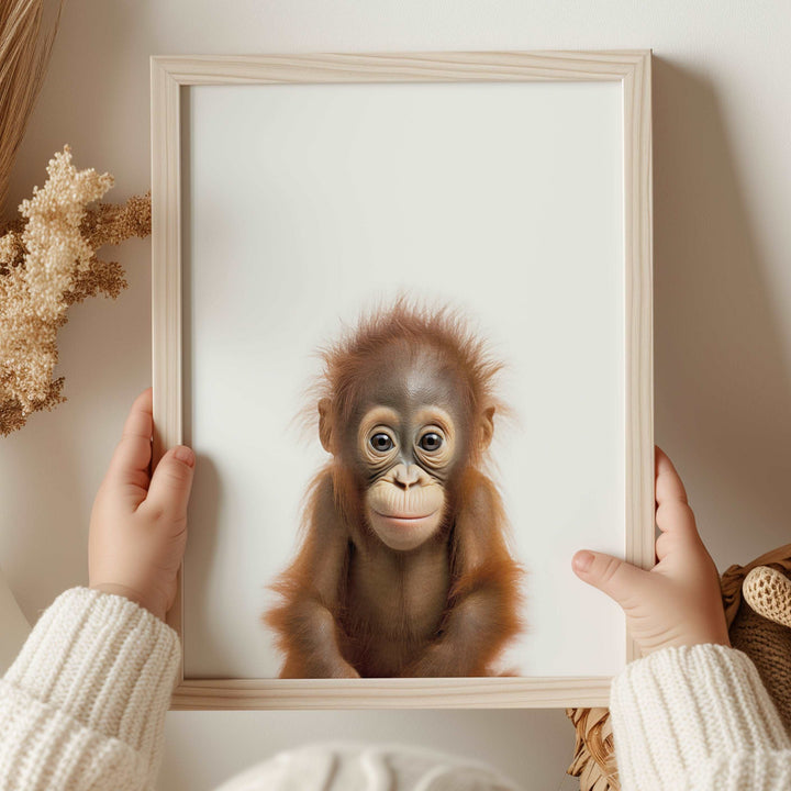 Baby Orangutan