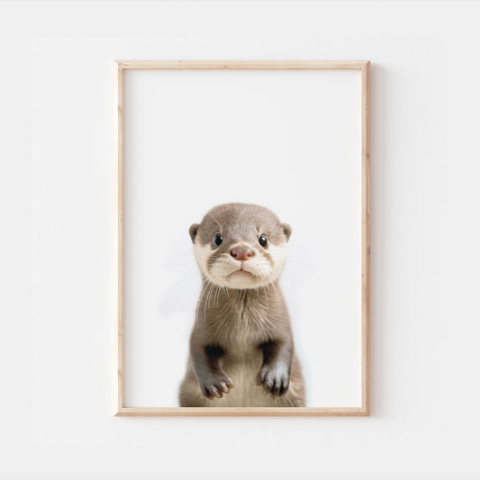 Baby Otter