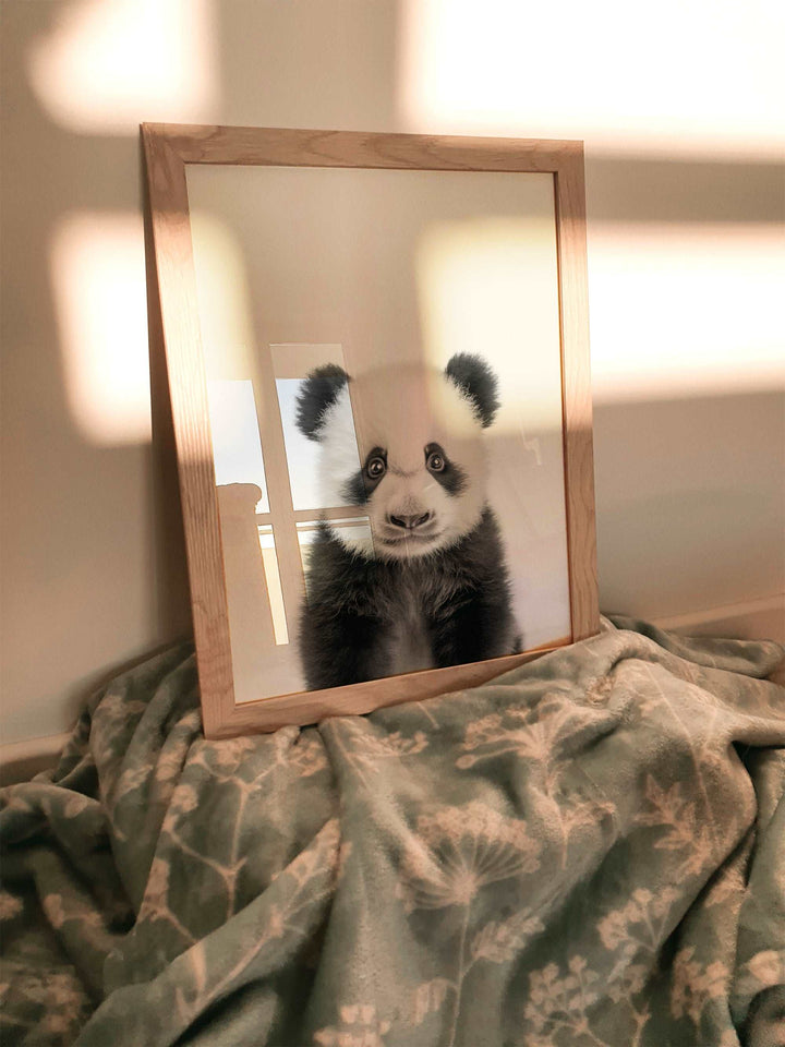 Baby Panda