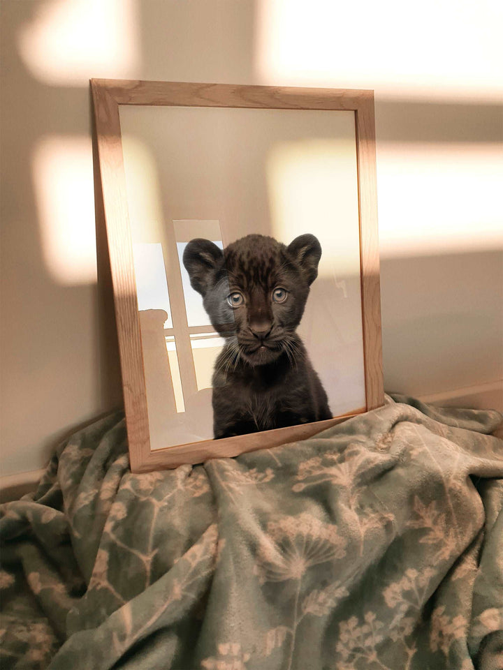 Baby Panther