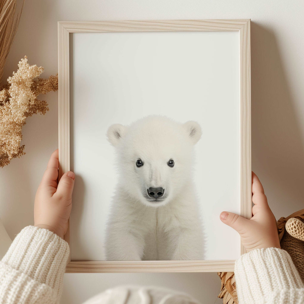 Baby Polar Bear