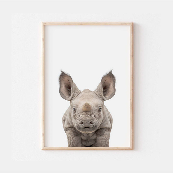 Baby Rhino