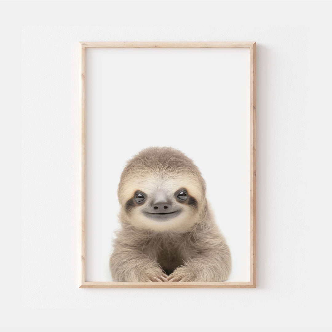 Baby Sloth