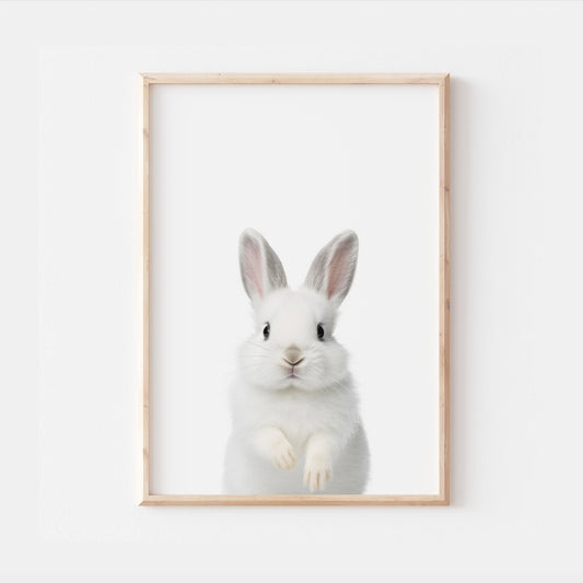 Baby Arctic Hare